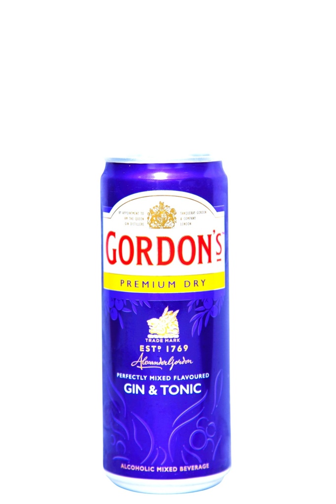 GORDON GIN & TOINIC 330ML