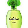 CABOTINE DE GRES EDP 50ML 