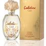 CABOTINE GOLD EDT 50ML 